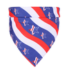 American flag triangle scarf cat and dog independence day scarf