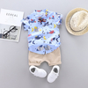 Animal Print Short-sleeve Shirt and Solid Pants Set