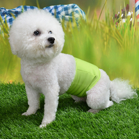 Anti-harassment pants for pet physiological pants