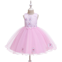 Baby / Toddler Girl Pretty Floral Embroidery Solid Tulle Party Dress