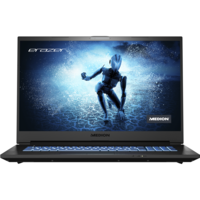 Refurbished Medion Defender P15 Ryzen 7 5800H 16GB 1TB SSD RTX 3060 17.3 Inch Windows 10 Gaming Laptop