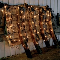 Albus Battery Operated Warm White LED Net Light - 80 Lights