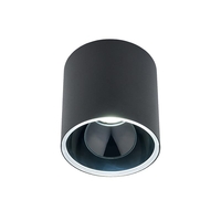 Arch Flush Ceiling Light - Black