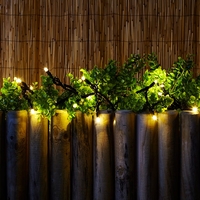 Connectable Warm White LED String Lights - 50 Lights
