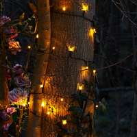 Easy Warm White LED Battery Operated String Lights - 120 Lights