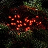 Edit 17.92M Berry Red LED Multi-Function String Lights - Green Cable - 240 Lights