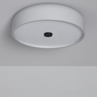 Edit 24W Eyelight CCT Flush Wall Light - Copper