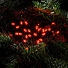 Edit 26.92M Berry Red LED Multi-Function String Lights - Green Cable - 360 Lights