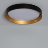 Edit 30W Big Broadway Flush Ceiling Light - Black and Gold