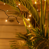 Edit 4m Solar LED Lasan String Light