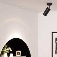 Edit Agate Single Ceiling Spotlight - Black