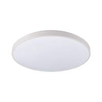 Edit Agnes 32W Warm White LED Round Flush Light - White