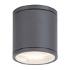 Edit Akron Outdoor Flush Ceiling Light - Anthracite