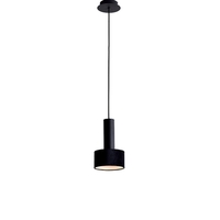 Edit Arietta Ceiling Pendant Light - Black Velvet