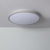 Edit Bari 24W Colour Selectable LED Flush Ceiling Light - Grey