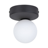Edit Bianca Flush Ceiling Light - Black