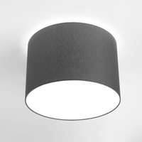 Edit Cameron Flush Ceiling Light - Grey