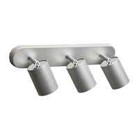 Edit Eye 3 Light Spotlight Plate - Silver