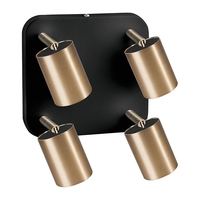 Edit Eye 4 Light Spotlight Plate - Black & Gold