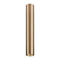 Edit Eye Large Ceiling Spotlight - Gold