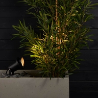 Edit Lisbon Garden Spotlight - Black