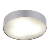 Edit Stadium Flush Ceiling Light - Silver