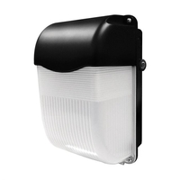 Eterna 11W Daylight LED Outdoor Wall Light