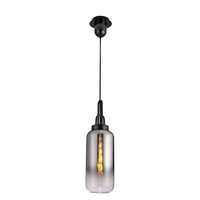 Etta Ceiling Pendant Light - Black Chrome
