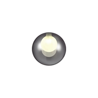 Evelyn Glass Ceiling Pendant Shade - Chrome,  White