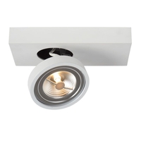 Lucide Nenad Single Spotlight - White