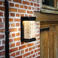 Lutec Starry LED Outdoor Wall Light - Black