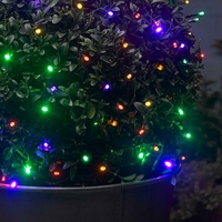 Multi Colour Solar LED String Lights - 50 Lights