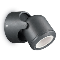 Raro Outdoor Wall Mounted Spotlight - Black