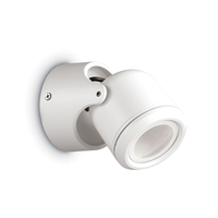 Raro Outdoor Wall Mounted Spotlight - White