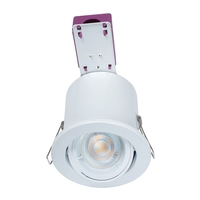 Robus Fire Rated Adjustable Downlight - White