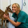 Veterinary Support Assistant course