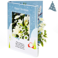 Starlight & Snowfall