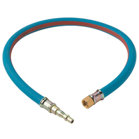Clarke Clarke 2ft Air Line Whip Hose