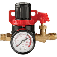 Clarke Clarke CAT157 1/4" Mini Air Regulator