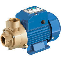 Clarke Clarke CEB103 1" 230V Centrifugal Brass Body Water Pump