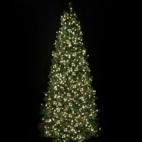 2000 Warm White Treebrights with Timer