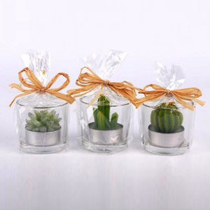 Cactus Tealights (3 Pack)