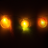 Citrus Slice String Lights