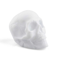 Colour Change Skull Light