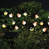 Solar Bird Stringlights