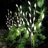 Solar Branch Pathfinder Lights