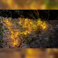 Solar Cluster 150 LED Light Chain - Multi-Action