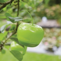 Solar Hanging Apple Light