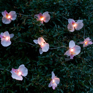 Solar Orchid Stringlight