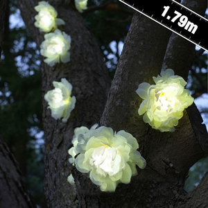 Solar Rose Stringlights